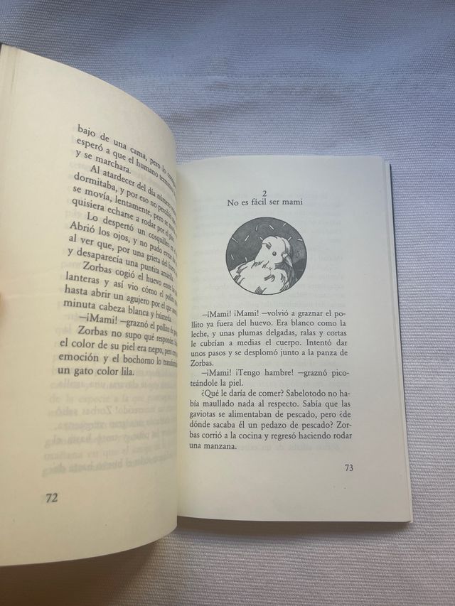 libro lectura