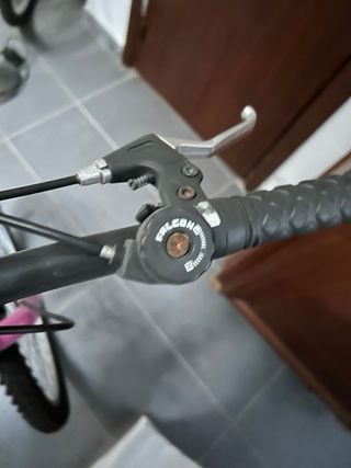 Bicicleta montaña Agece