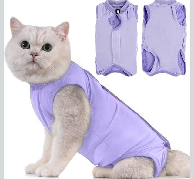 Tutina Gatto Viola - Tg. Piccola