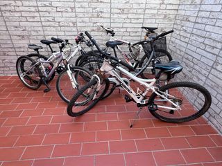 4 Bicicletas: 2 Adulto, 2 Niño