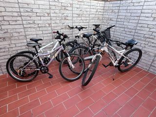 4 Bicicletas: 2 Adulto, 2 Niño