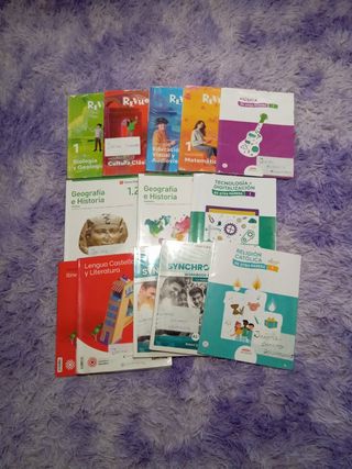 Libros de texto lote