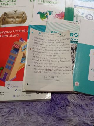 Libros de texto lote