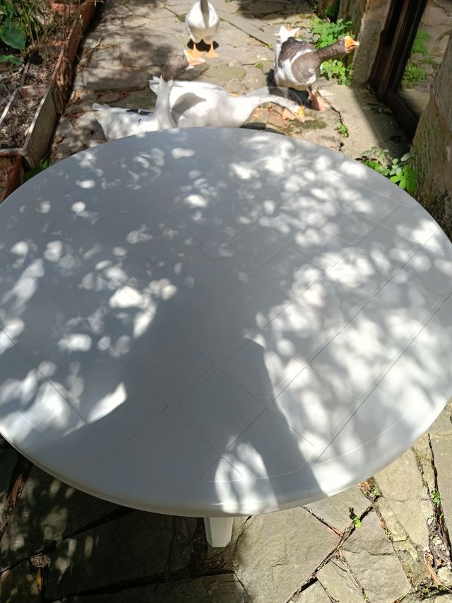 Tavolo da giardino Mesa in plastica bianca