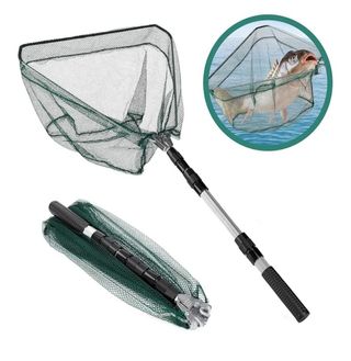 Red Pesca Ajustable Plegable Mango Largo