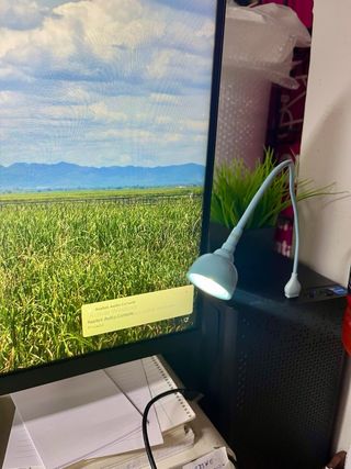 Flexo luz USB