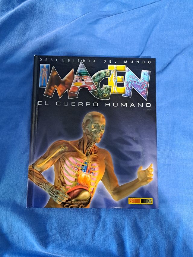 EL CUERPO HUMANO ( IMAGEN)