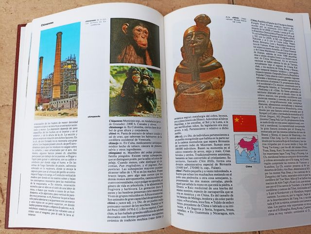 Gran Enciclopedia Ilustrada- 20 tomos