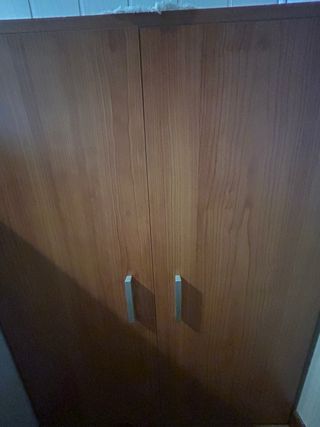 Mueble zapatero 2 puertas