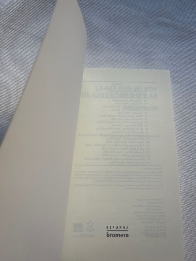 La nit que Wendy va aprendre a volar