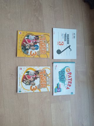 Lote Libros Segunda Mano 3° Primaria 
