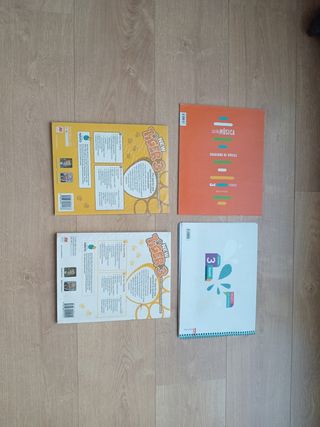 Lote Libros Segunda Mano 3° Primaria 
