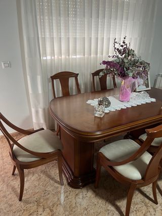 Conjunto mesa + 6 sillas comedor