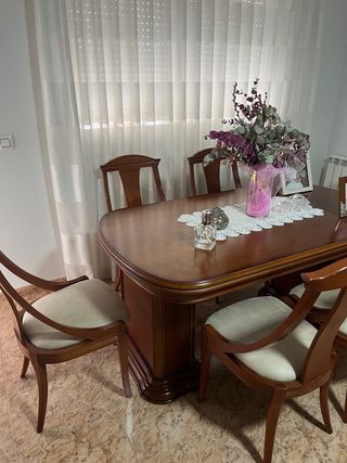 Conjunto mesa + 6 sillas comedor