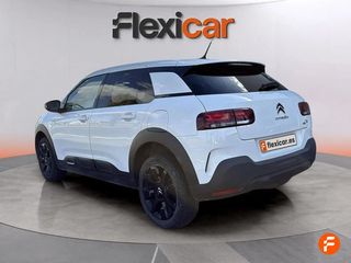 Citroën C4 Cactus PureTech 110 S&S C-Series