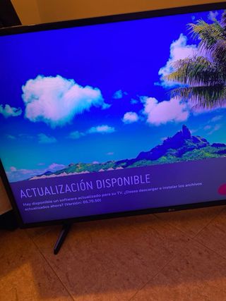 TV LG 49" plana negra