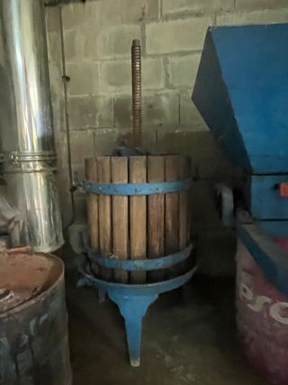 Prensa-lagar y trituradora de uvas