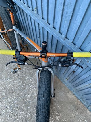 Bicicleta Fat bolt grizzly