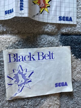 Black Belt - Master System SEGA