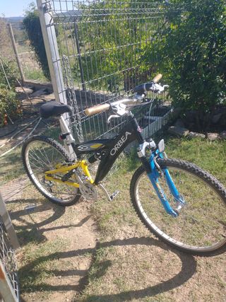Bicicleta Orbea montaña