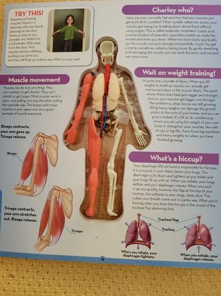 Uncover the Human Body: An Uncover It Book