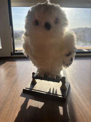 Lechuza Harry Potter - Peluche