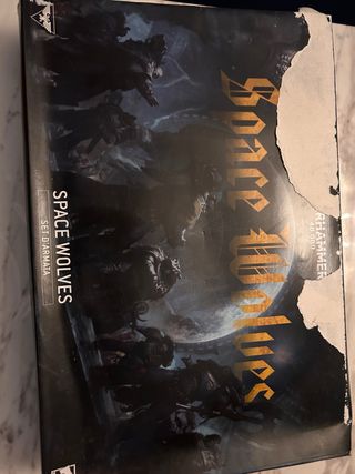 Space Wolves - Warhammer 40k Armada