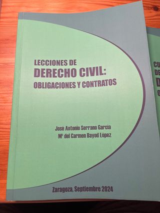 Manual de derecho civil