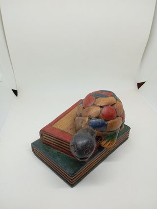Tartaruga su libri in legno
