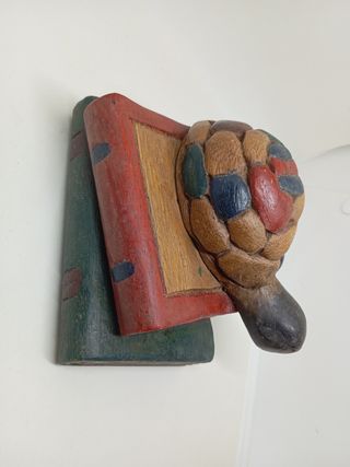 Tartaruga su libri in legno