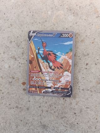 6 cartas Pokémon