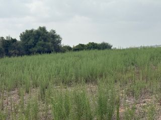 Terreno rustico 9.000 mt