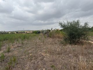 Terreno rustico 9.000 mt