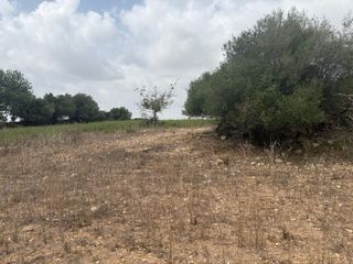 Terreno rustico 9.000 mt