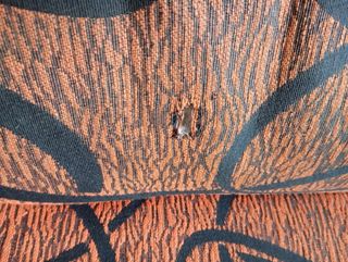 Sofá 2 plazas - naranja y negro