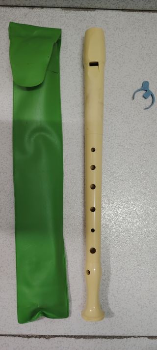 Flauta dulce + funda