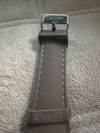 Reloj Calgary marrón-plata