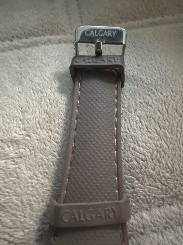 Orologio Calgary marrone-argento