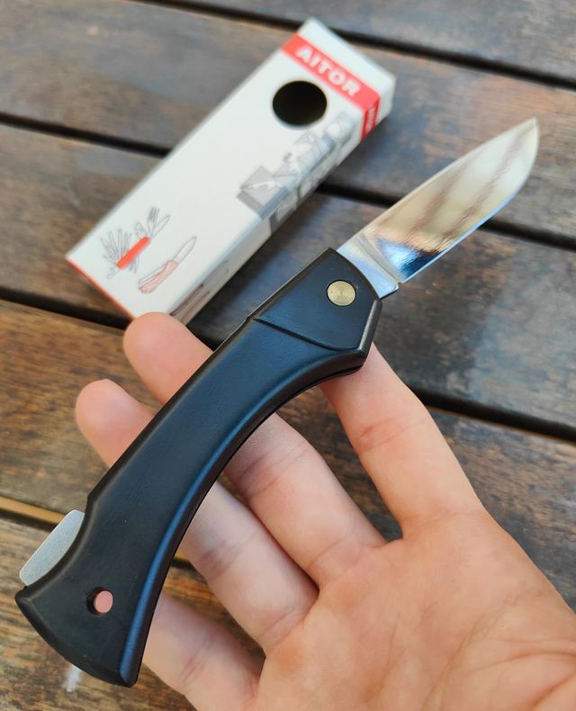 AITOR ARDILLA (MEDIANA).