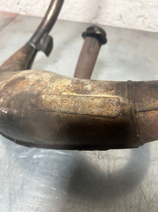 Escape Yasuni Derbi Senda