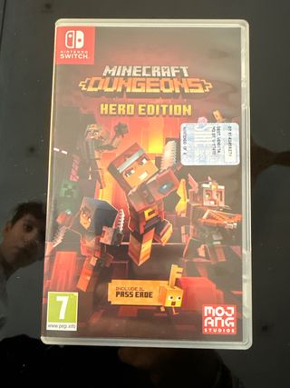 Minecraft Dungeons switch