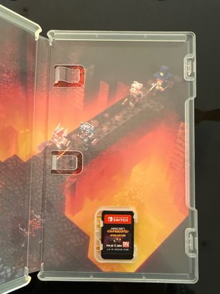 Minecraft Dungeons switch