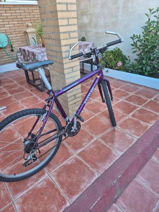 Bicicleta Montana BH Canyon