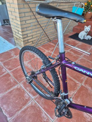 Bicicleta Montana BH Canyon