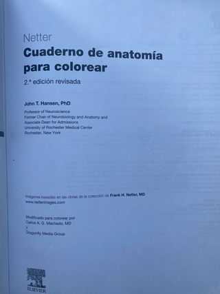 Netter Cuaderno de anatomía para colorear (2ª ed.)