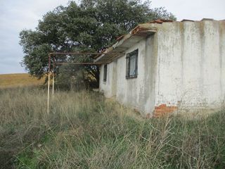 Terreno en venta en Molar (El)