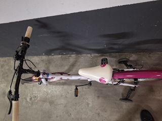 Bicicleta niña 20" infantil