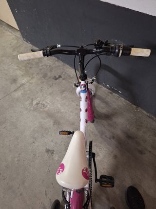 Bicicleta niña 20" infantil