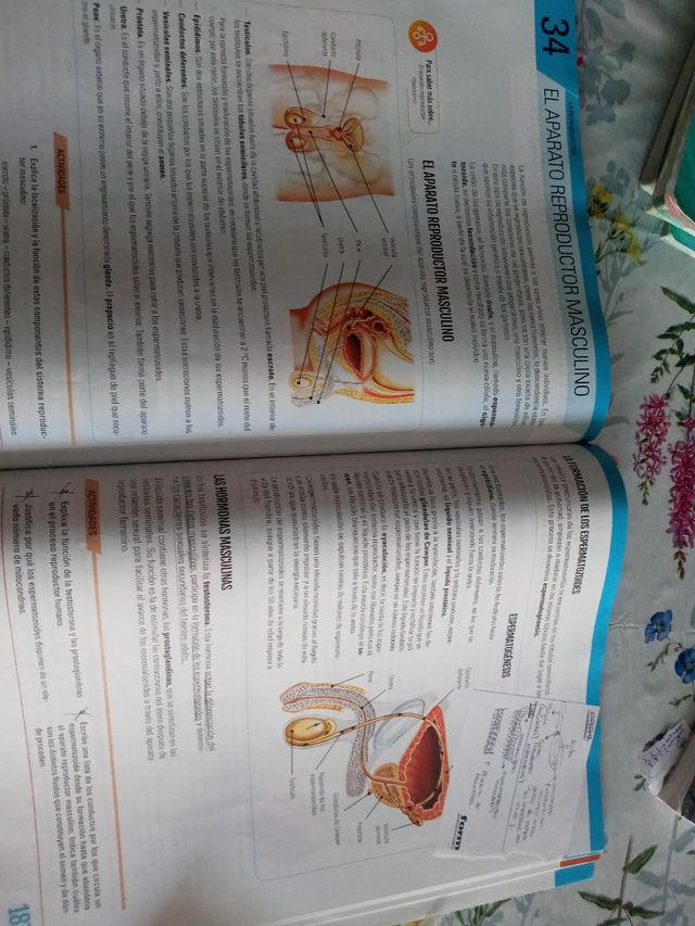 BIOLOGIA Y GEOLOGIA II