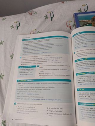 Les Blogueurs 5 B1 Livre ePk